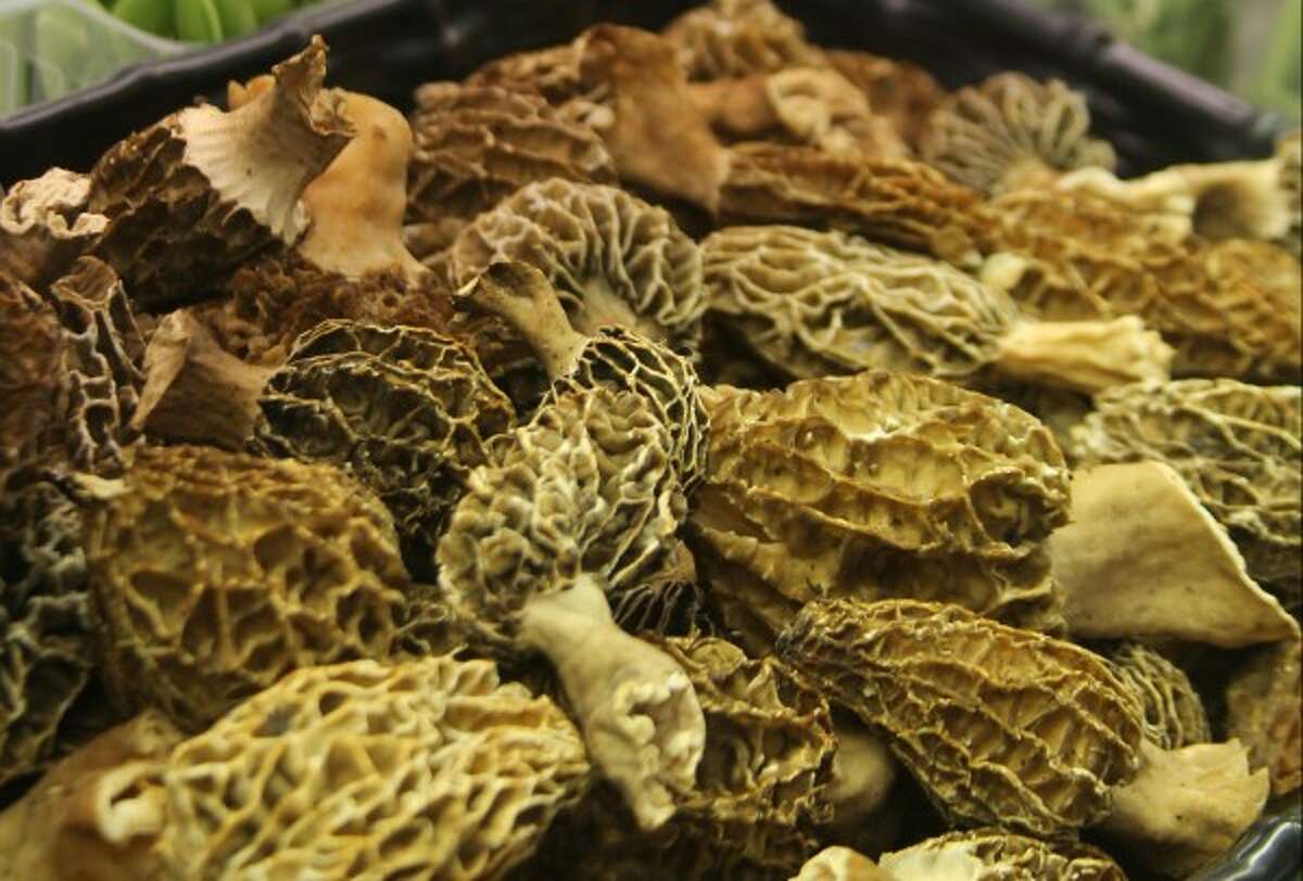 In April, the Big Rapids Community Library is hosting an event featuring master morel mushroom hunter Anthony Williams who will explain tips and tricks for finding plenty of the delicious iconic fungi. (Manistee News Advocate file photo)