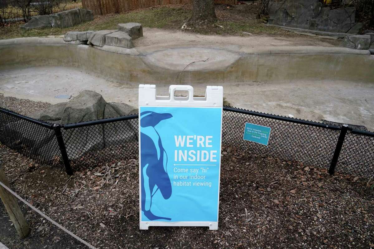 A sign is displayed near a Magellan penguin outdoor viewing area redirecting visitors at the Blank Park Zoo, Tuesday, April 5, 2022, in Des Moines, Iowa. Zoos across North America are moving their birds indoors and away from people and wildlife as they try to protect them from the highly contagious and potentially deadly avian influenza. Penguins may be the only birds visitors to many zoos can see right now, because they already are kept inside and usually protected behind glass in their exhibits, making it harder for the bird flu to reach them.
