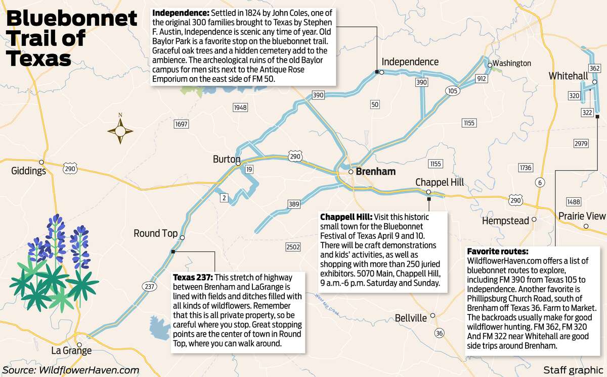Bluebonnet Trail of Texas