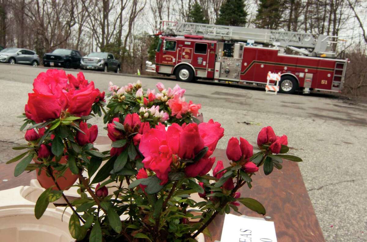 White Hills Fire Company, which is celebrating its 75th anniversary this year, will be selling Easter flowers on April 15 and 16, 2022, at its headquarters at 2 School St., Shelton.