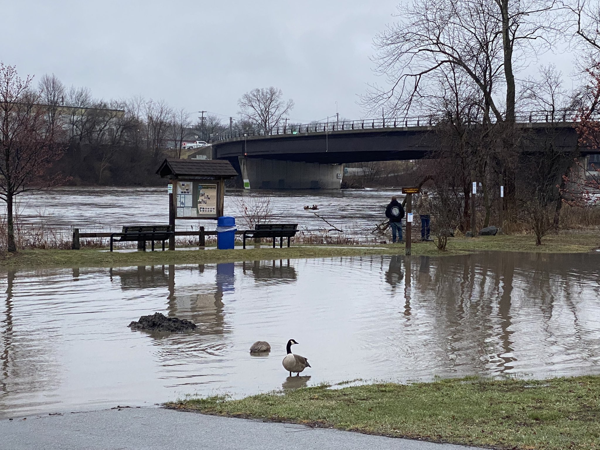 Torrential rain closes roads, causes flooding across eastern upstate NY - Vimarsana News