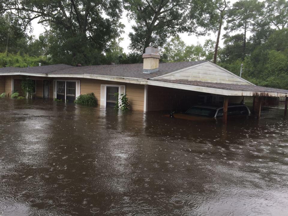 Commentary: Embrace green measures to combat flooding - Vimarsana News