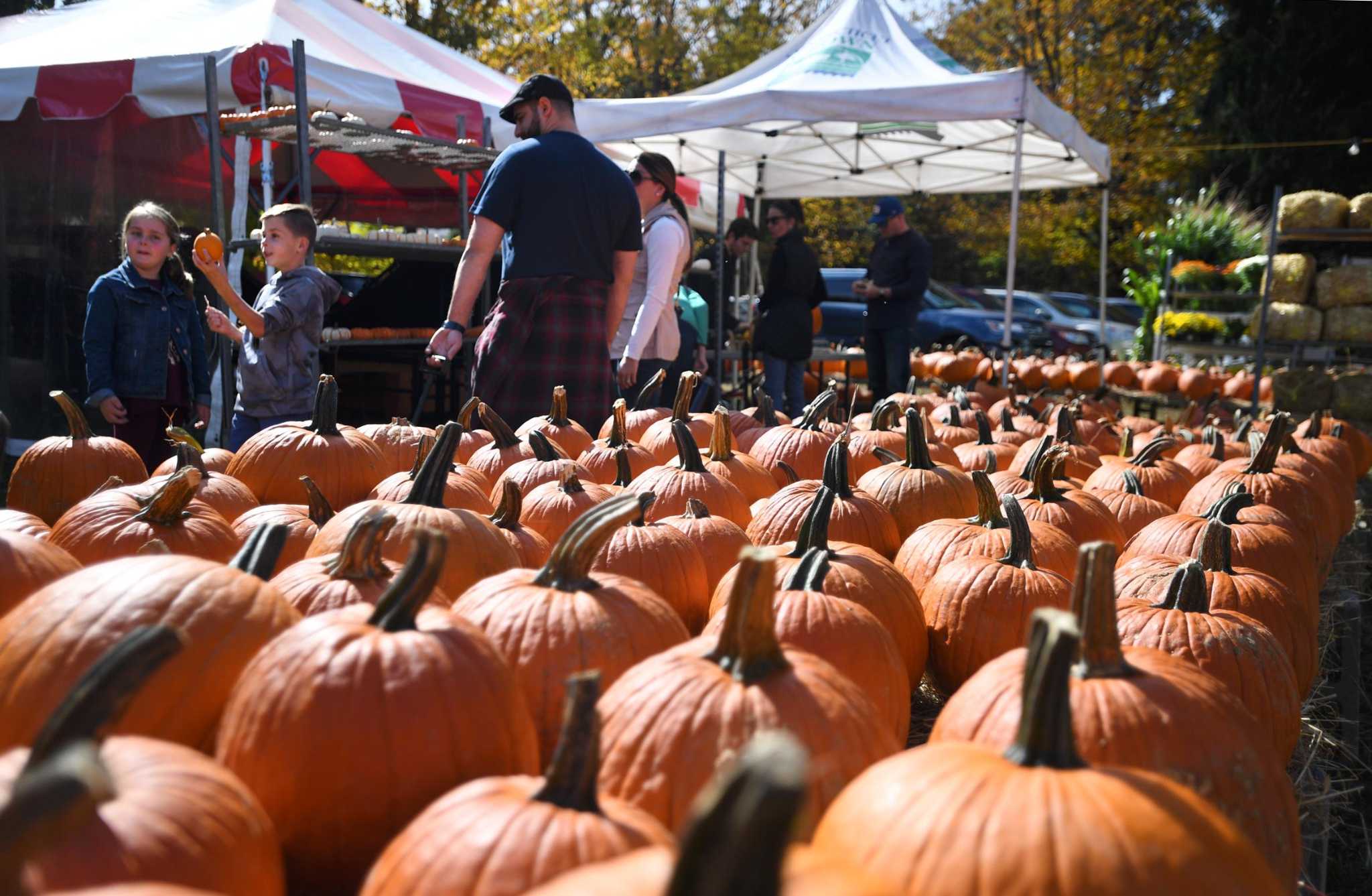 Report: Trumbull Main Street business program generated $9,000 - Vimarsana News