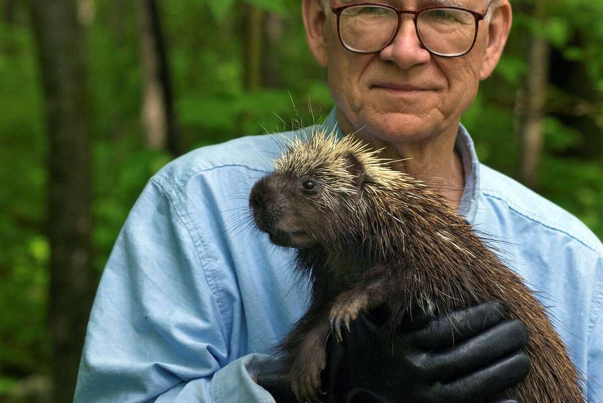 Porcupine expert Uldis Roze starting studying the creatures decades ago after they began eating his house.