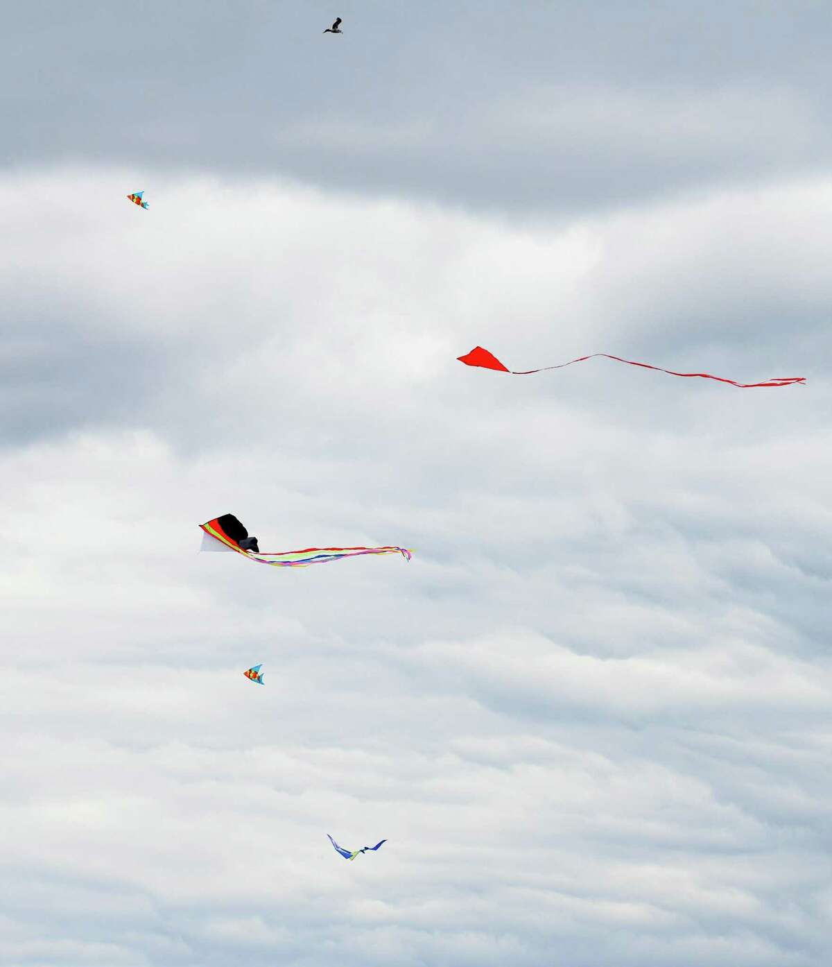 Kites fly during the annual Kite Flying Festival at Greenwich Point Park in Old Greenwich, Conn. Sunday, April 10, 2022. Greenwich Recreation and Greenwich Arts Council partnered to host the festival, which atrracted hundreds of kite flyers on a perfectly windy day at the beach.
