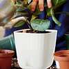 GardenBasix 6" Planter Drainage Pots ($13.99)