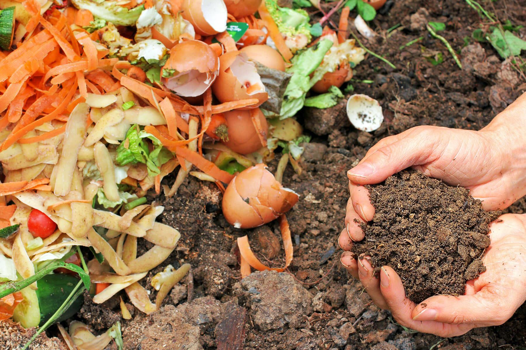 Composting helps garden grow; the environment by reducing food waste in landfills - Vimarsana News