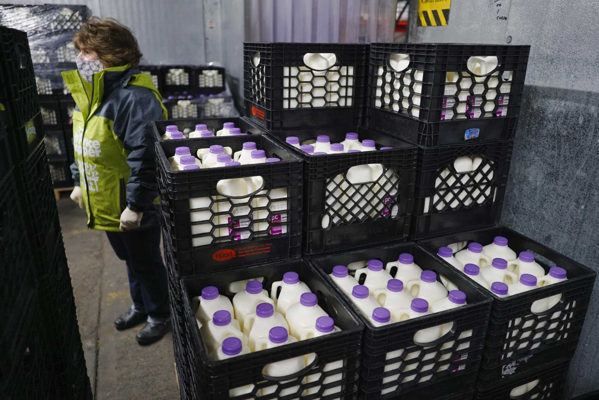 Guida's Dairy facing lawsuit after contaminated milk causes illness in New Jersey school - Vimarsana News