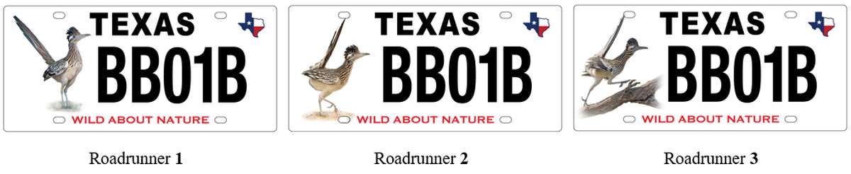The Texas Parks and Wildlife Department are seeking feedback to help choose the final charity license plate design supporting nature tourism and wildlife.