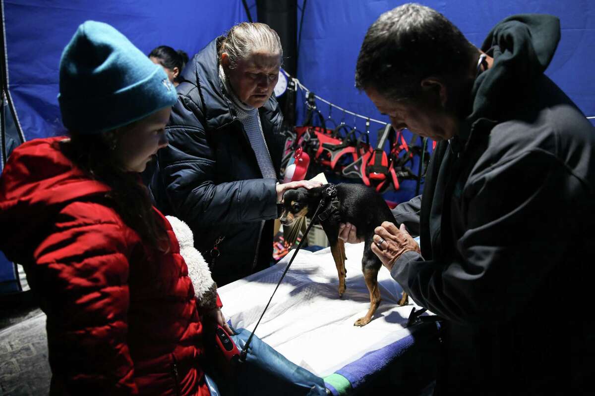 The pets of Ukrainian refugees who entered into Medyka, Poland, were given veterinary treatment March 30.
