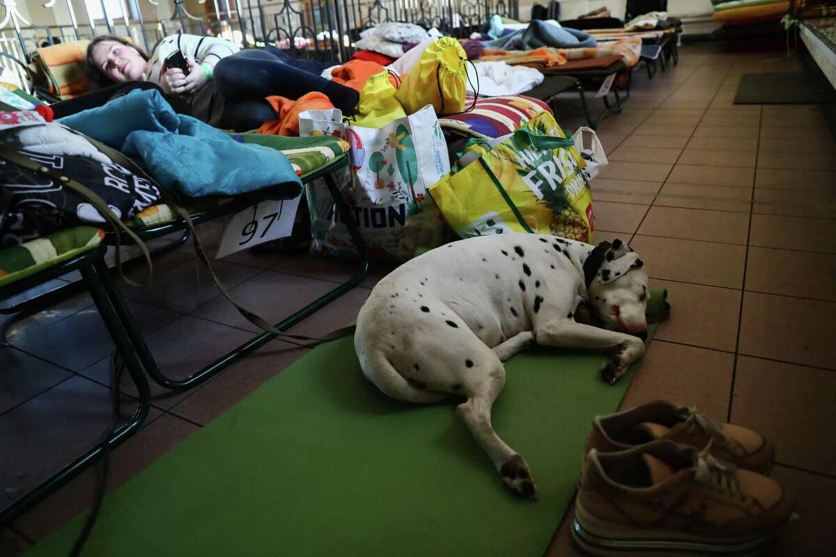 People fleeing from Ukraine with a dog rest inside a temporary shelter organized at the old railway station building in Krakow, Poland on March 28.