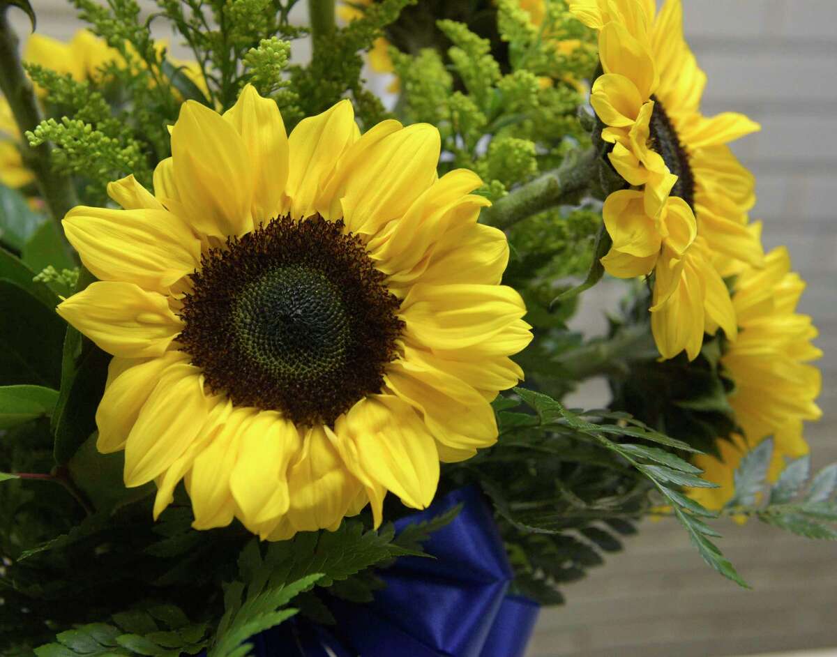 Kathleen Menichelli, owner of Alice’s Flower Shop, is giving a sunflower for a $5 donation to help the people in Ukraine. Menichelli has set up a vase of sunflowers at her shop and at Molten Jave coffee shop and U.K. Gourmet, all in Bethel, and Klicker’s Hair Studio in Newtown. Monday, April 11, 2022, Bethel, Conn. The money will go to Chef Andres’ World Central Kitchen to aid Ukraine. There is also a bouquet of sunflowers that can be ordered with $10 dollars being donated from the order.