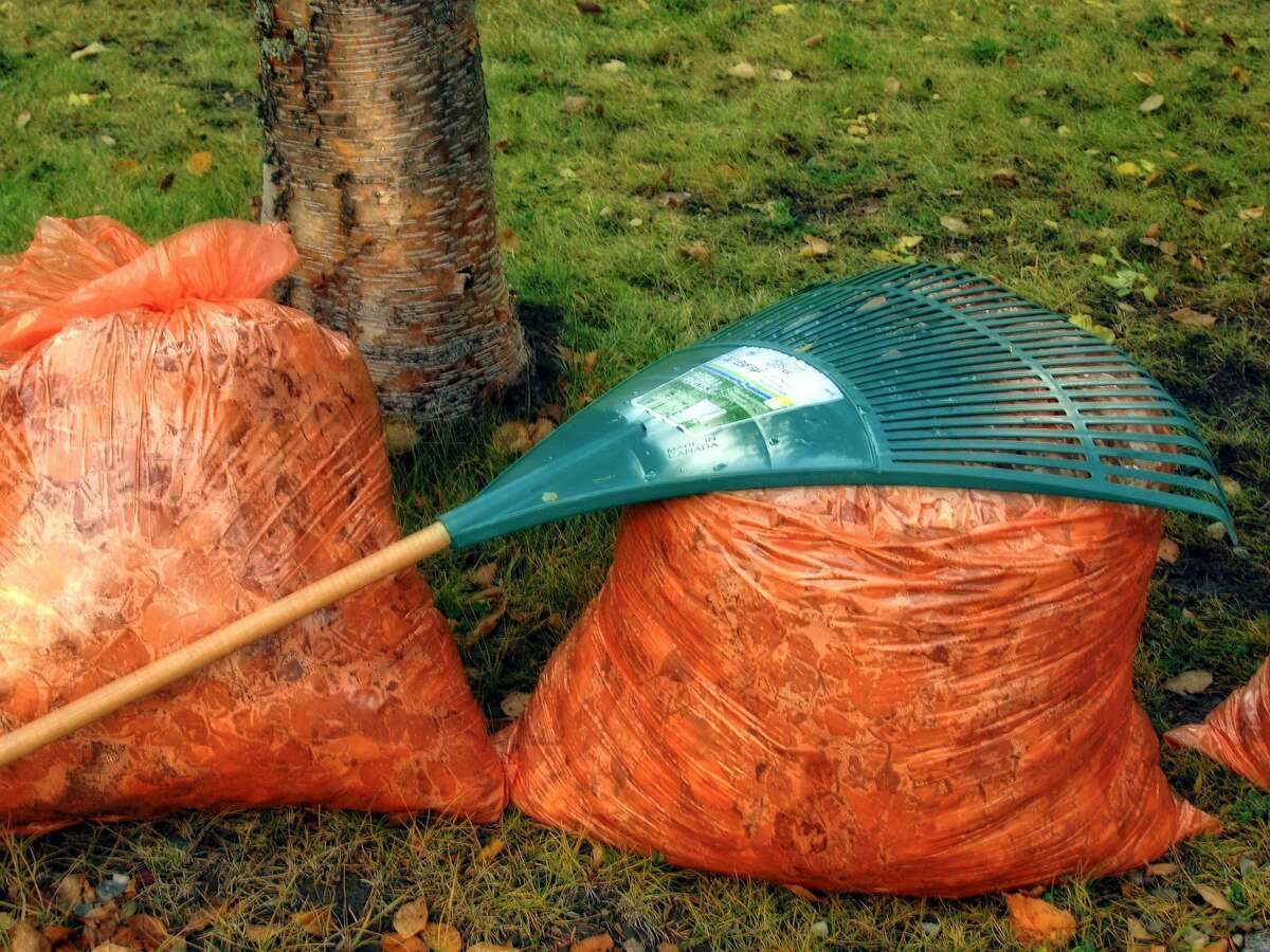 Brush and yard debris collection are scheduled to start this month in the village of Onekama.