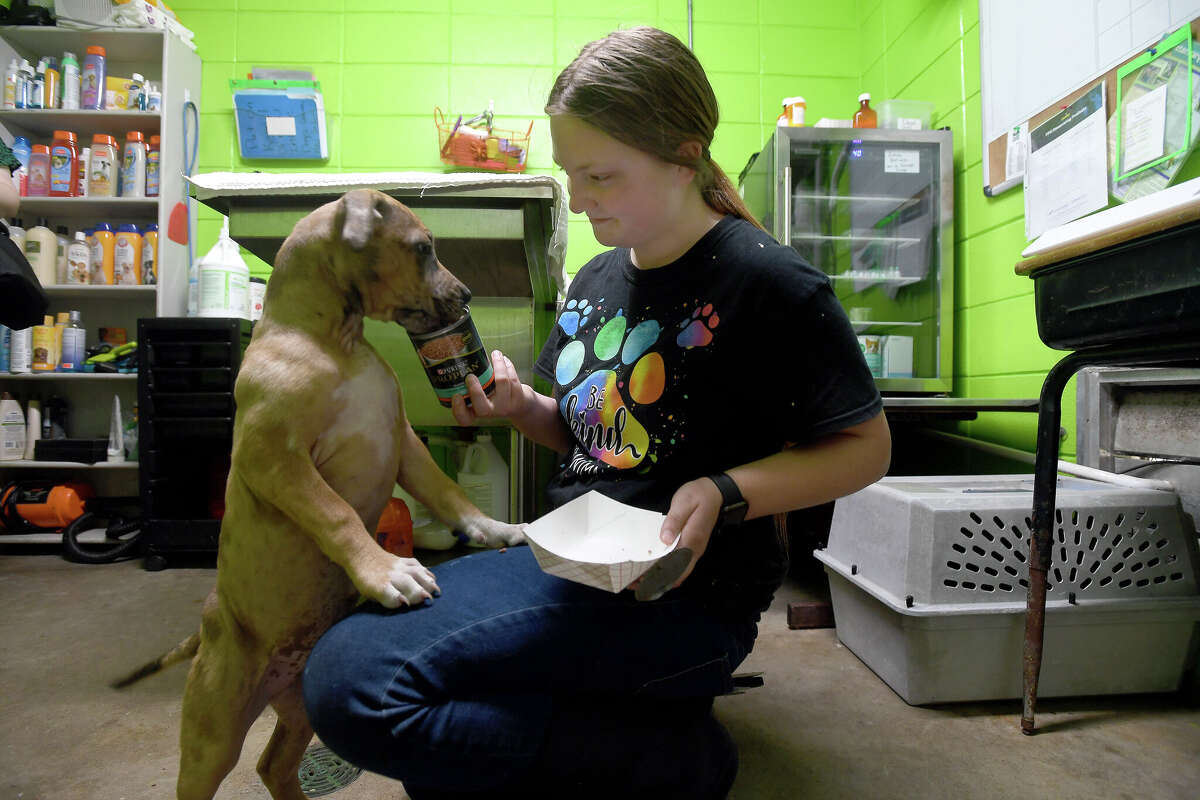 7 Questions with first Vidor high schooler to receive vet assistant certification