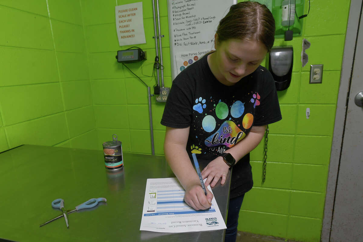 7 Questions with first Vidor high schooler to receive vet assistant certification