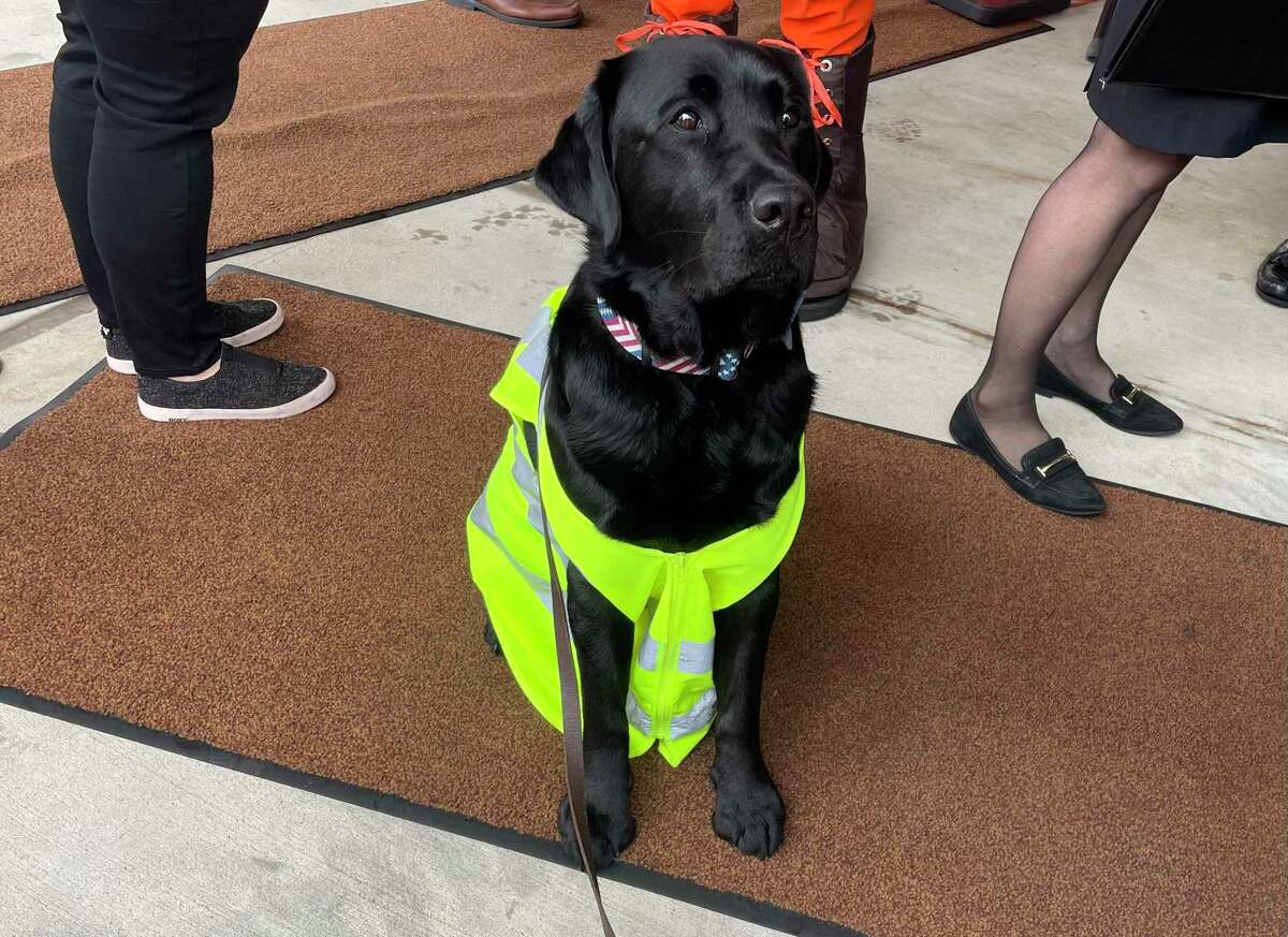 Connecticut Department of Transportation works to raise awareness of work zone safety during annual Work Zone Awareness Week. K-9 Officer Indy wears a yellow vest in support of the cause at an event Tuesday at DOT headquarters.