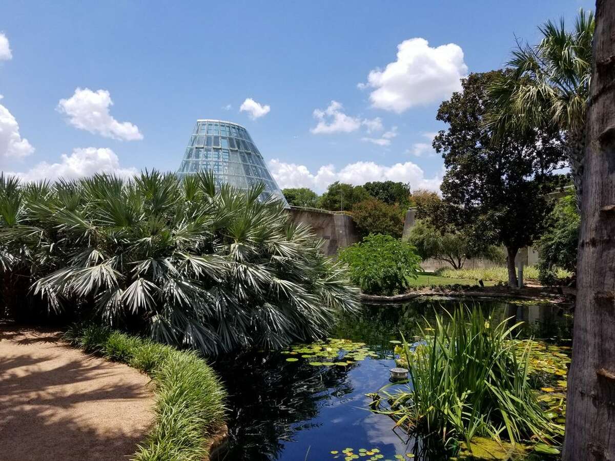 The grounds of the San Antonio Botanical Gardens.