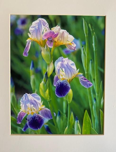 Torrington hospital auxiliary announces artist of the month - Vimarsana News