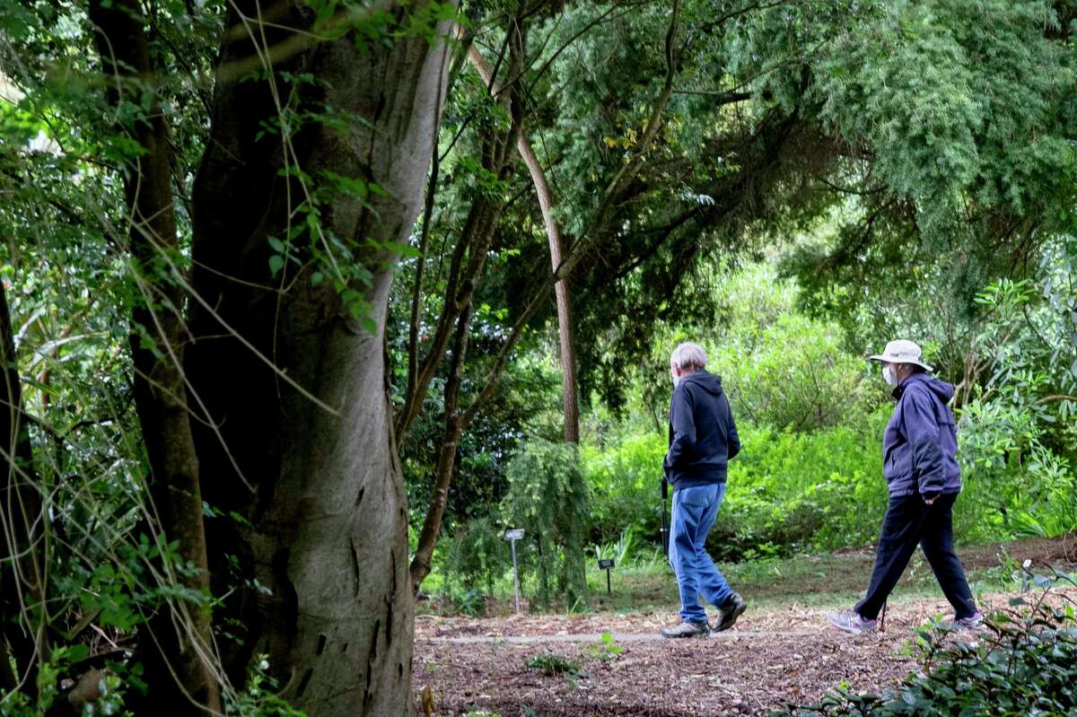 A couple walks through the California Native Garden at the San Francisco Botanical Garden inside Golden Gate Park.
