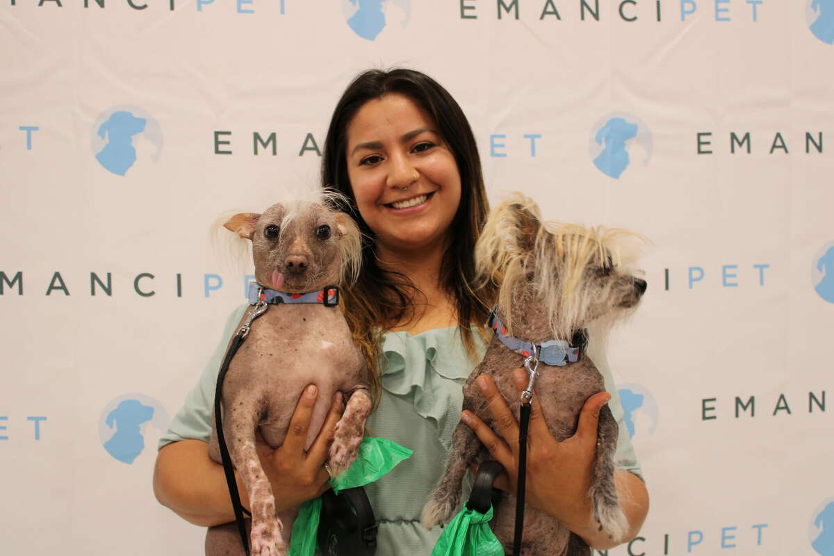 Emancipet held a grand opening of its new veterinary clinic in the PetSmart store at 13830 Northwest Freeway in north Houston on April 13, 2022. The nonprofit organization is expanding its network of affordable veterinary care clinics.