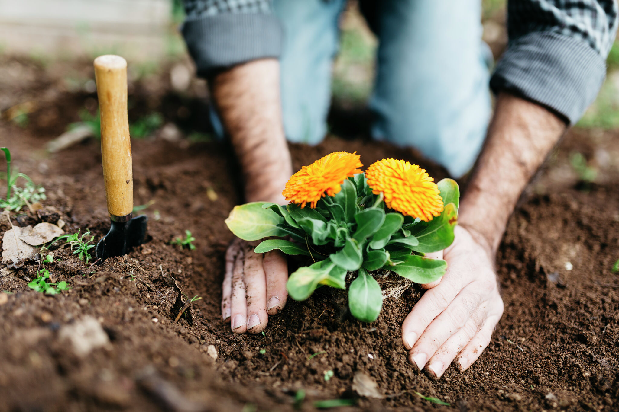Ag organizations receive grants - Vimarsana News