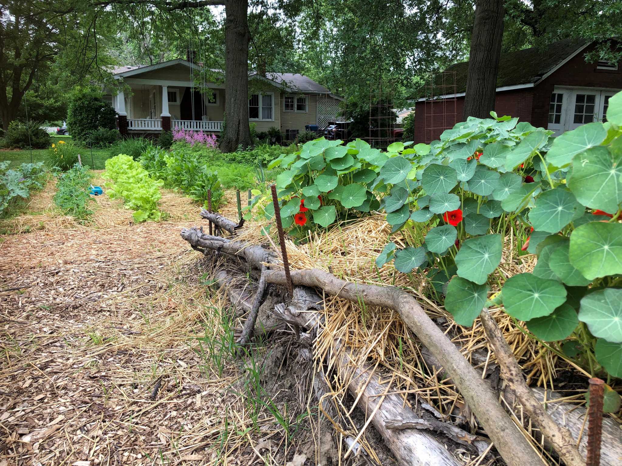 Hugelkultur A Different Approach To Raised Beds Mounds