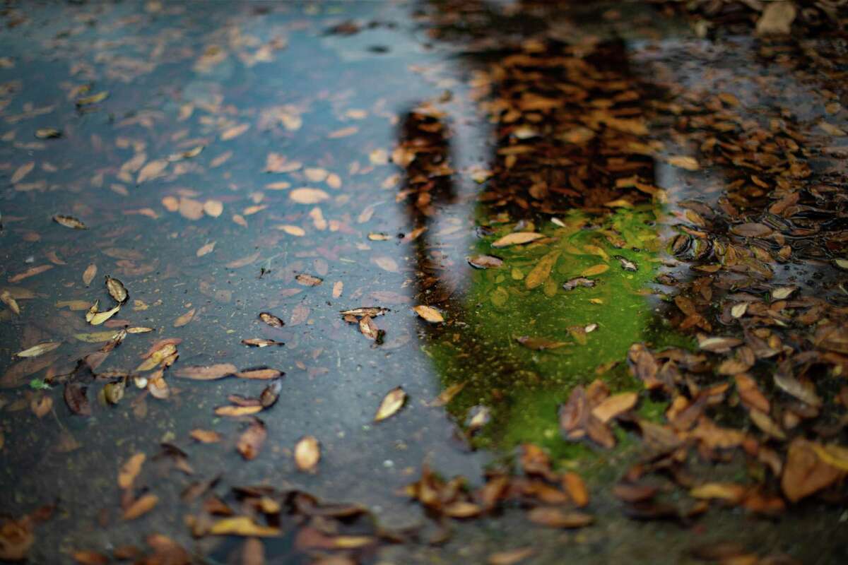 City of Houston Solid Waste Dept. trash truck driver Anthony Senegal, 56, is seen in a puddle of water during the trash pick up day at Westbury neighborhood, Tuesday, March 29, 2022, in Houston.