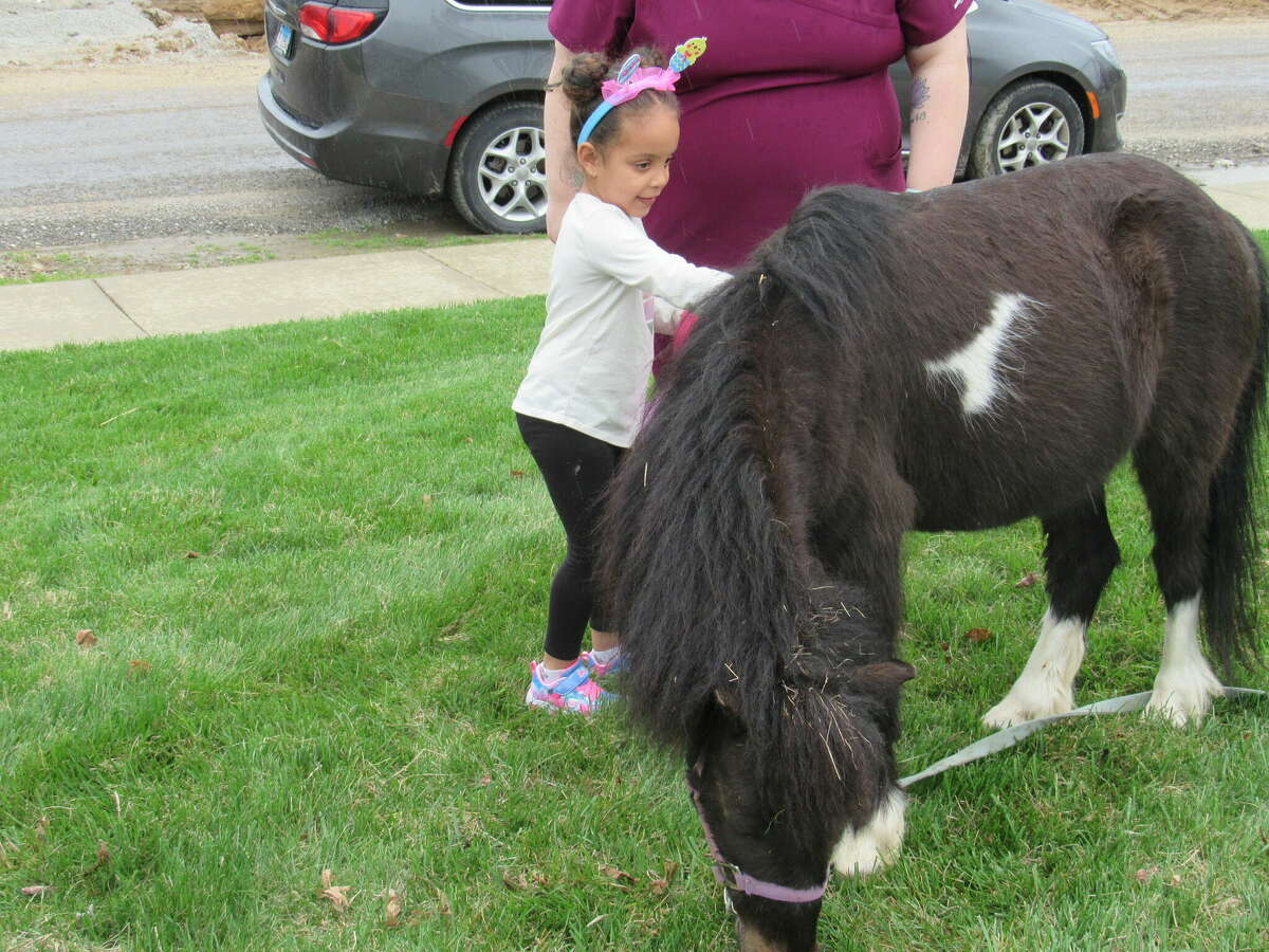 Makaela, 4, pets one of the horses at Addington Place of Edwardsville's Easter Event. 