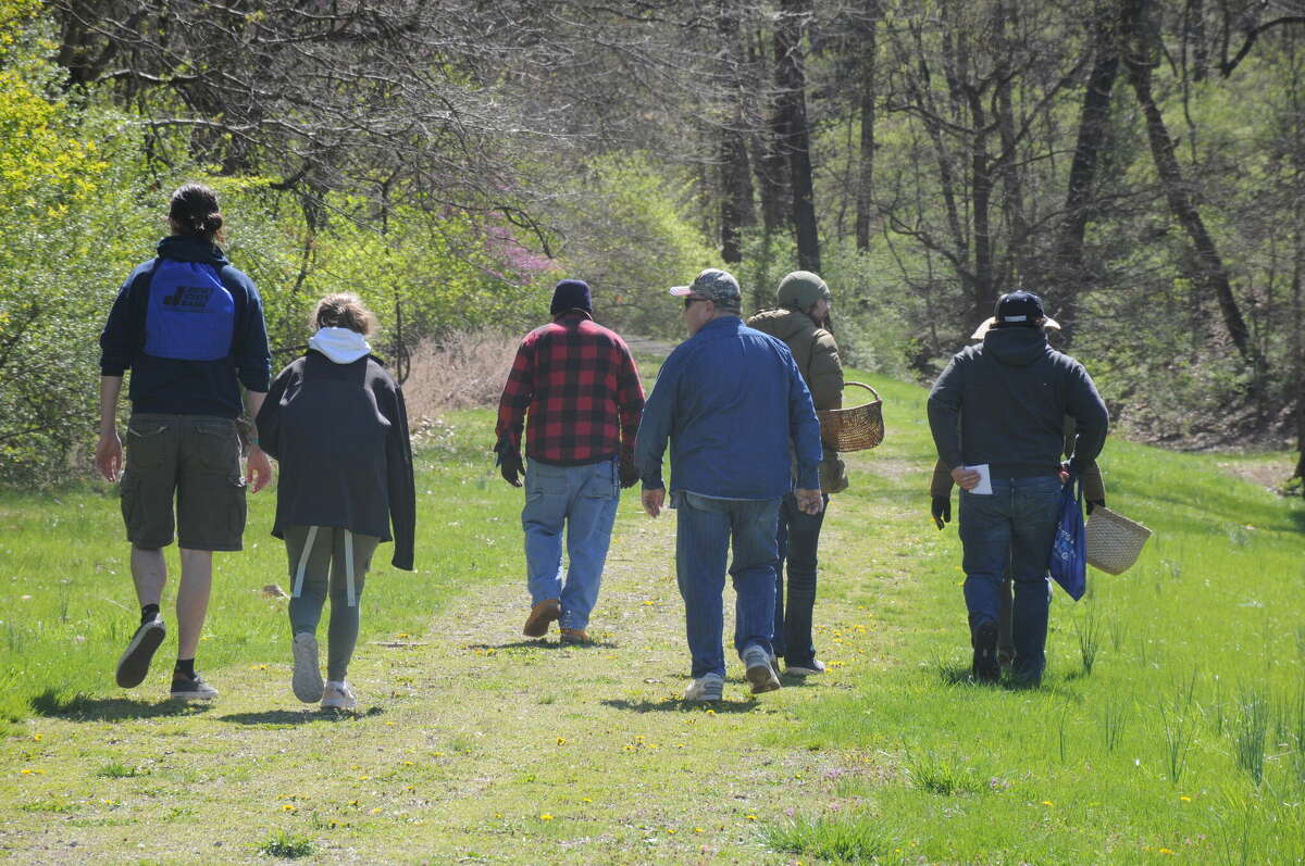Basket- and bag-toting hunters move out to seek morel mushrooms during the second annual Great Mushroom Hunt on Saturday at Raging Rivers WaterPark in Grafton.    