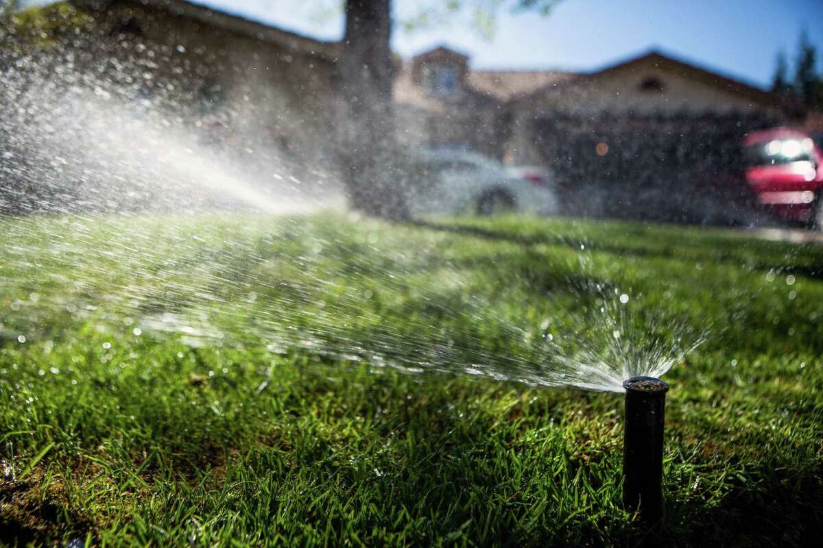 With the dry weather, SAWS has instituted Stage 2 drought restrictions, which limits irrigation to once a week during limited hours. Hand watering is allowed at any time.