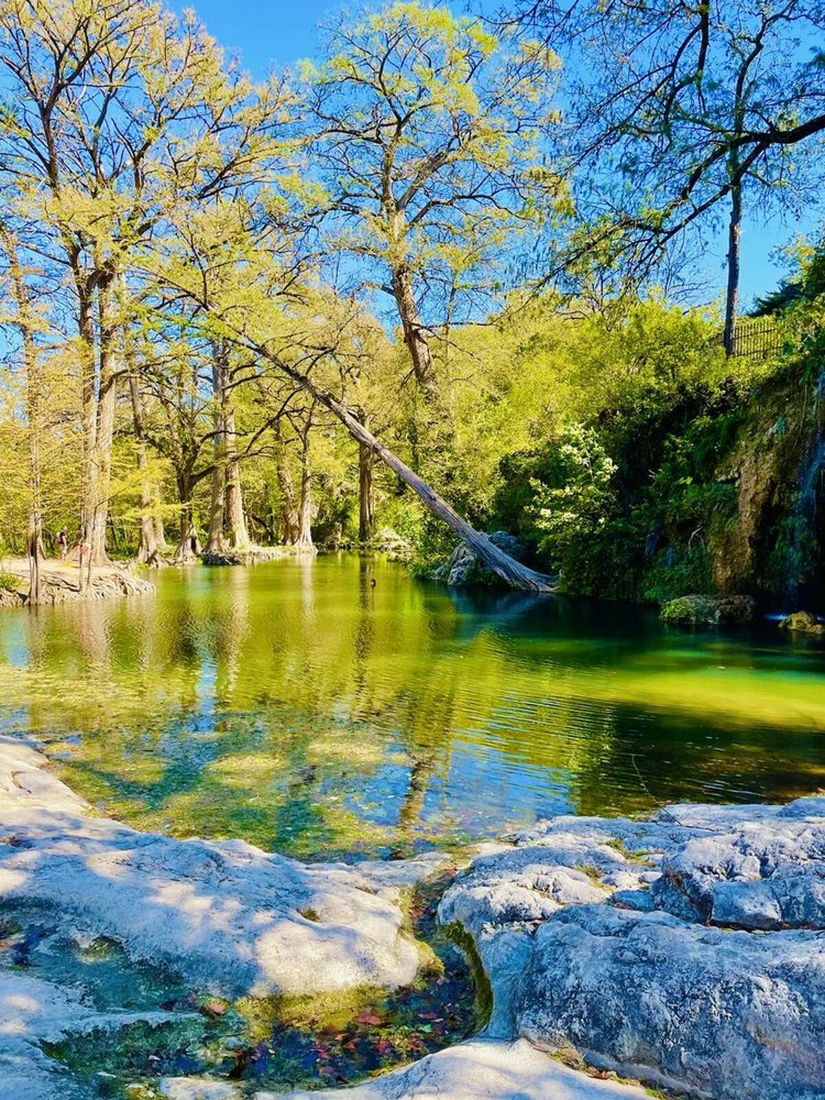 Krause Springs In The Texas Hill Country Opens For 2023