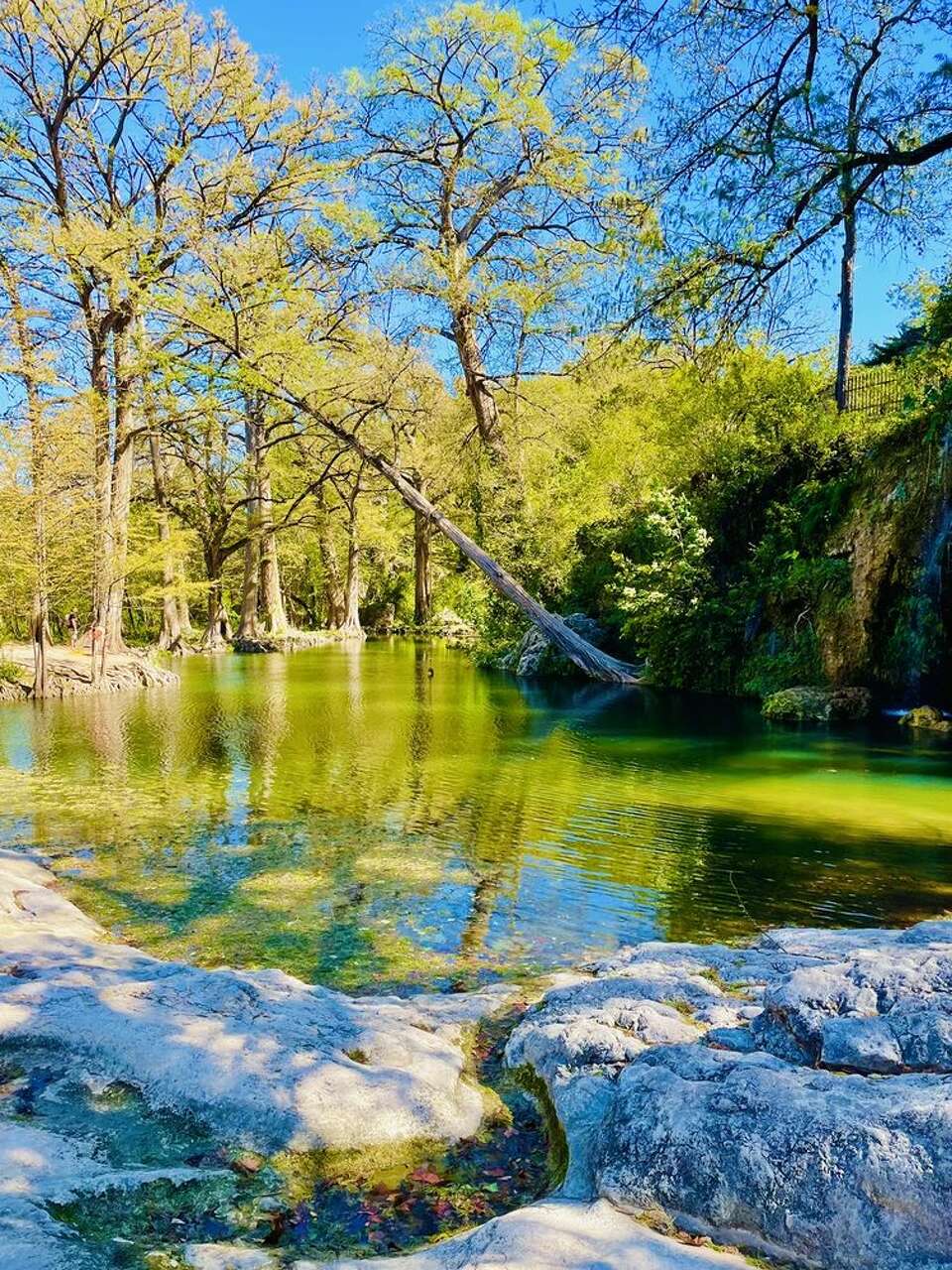 Krause Springs in the Texas Hill Country opens for 2023