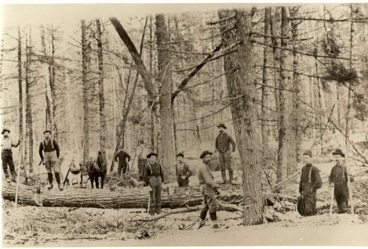 Midland County lumberjacks