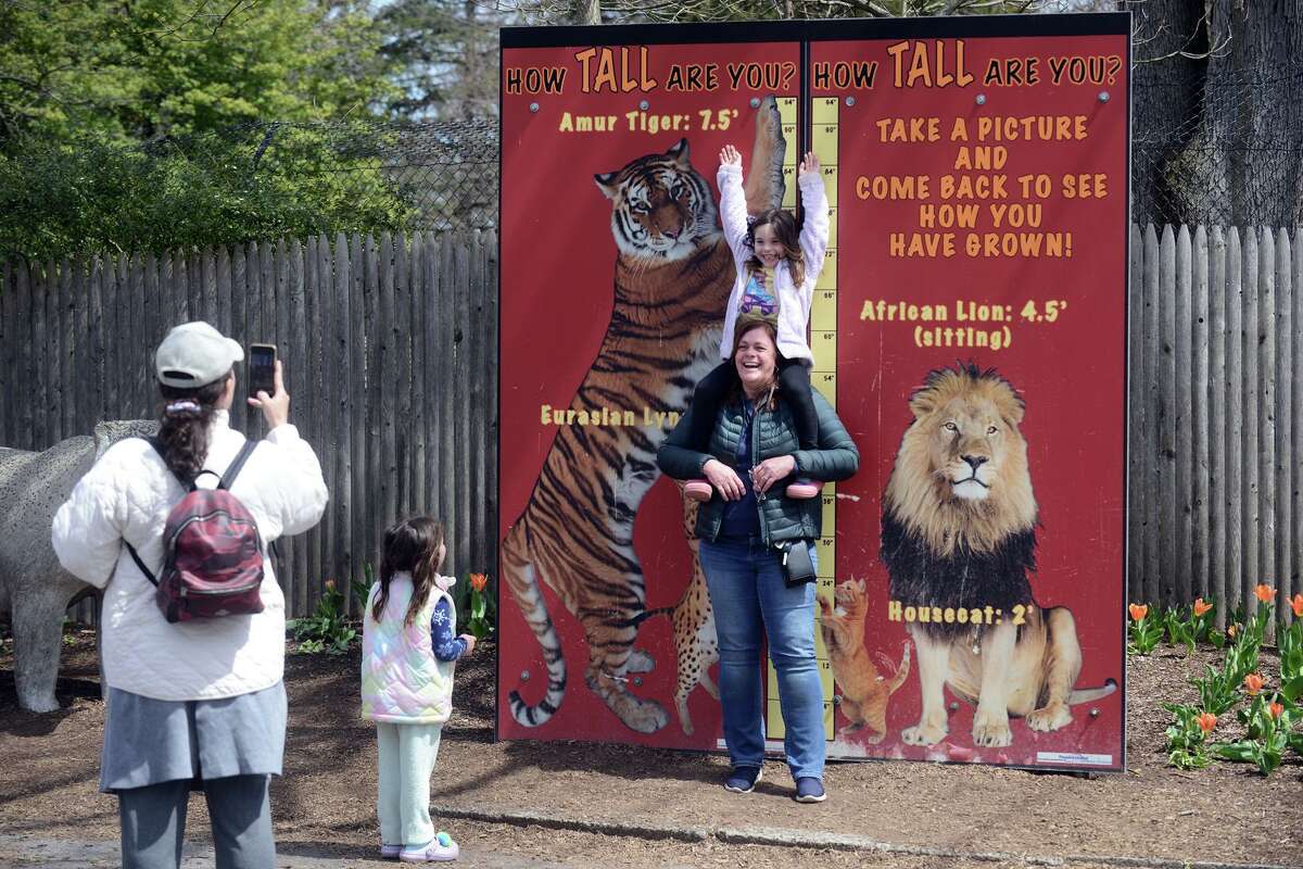 CT's Beardsley Zoo to open new education center April 29