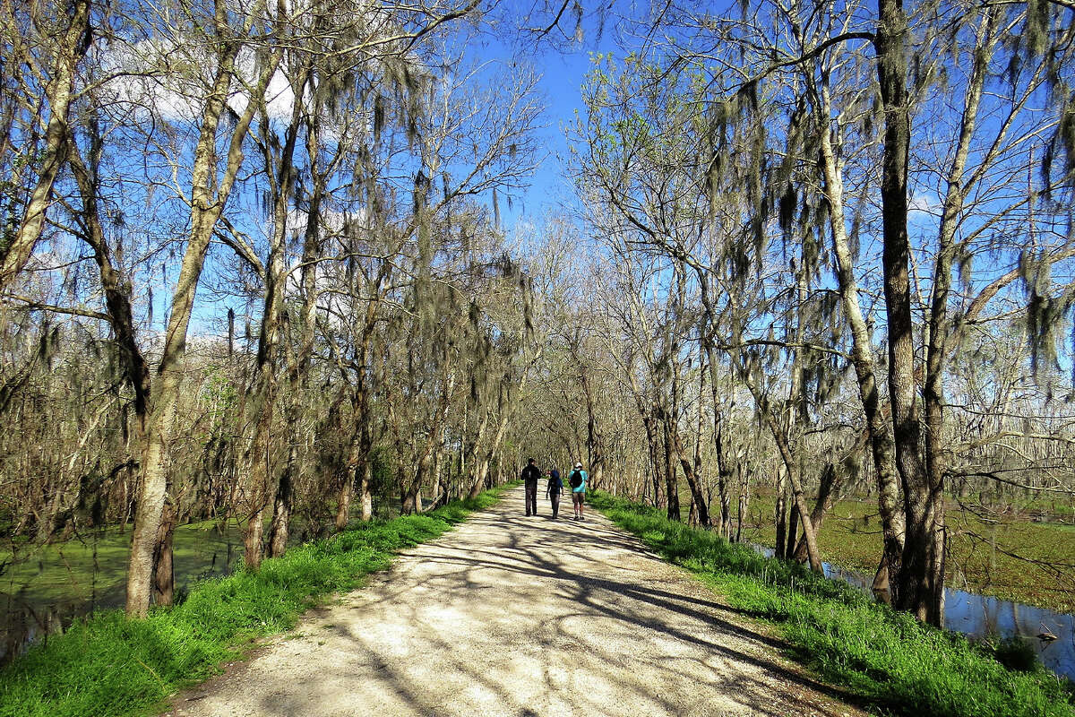 A walking trail in Brazos Bend State Park.