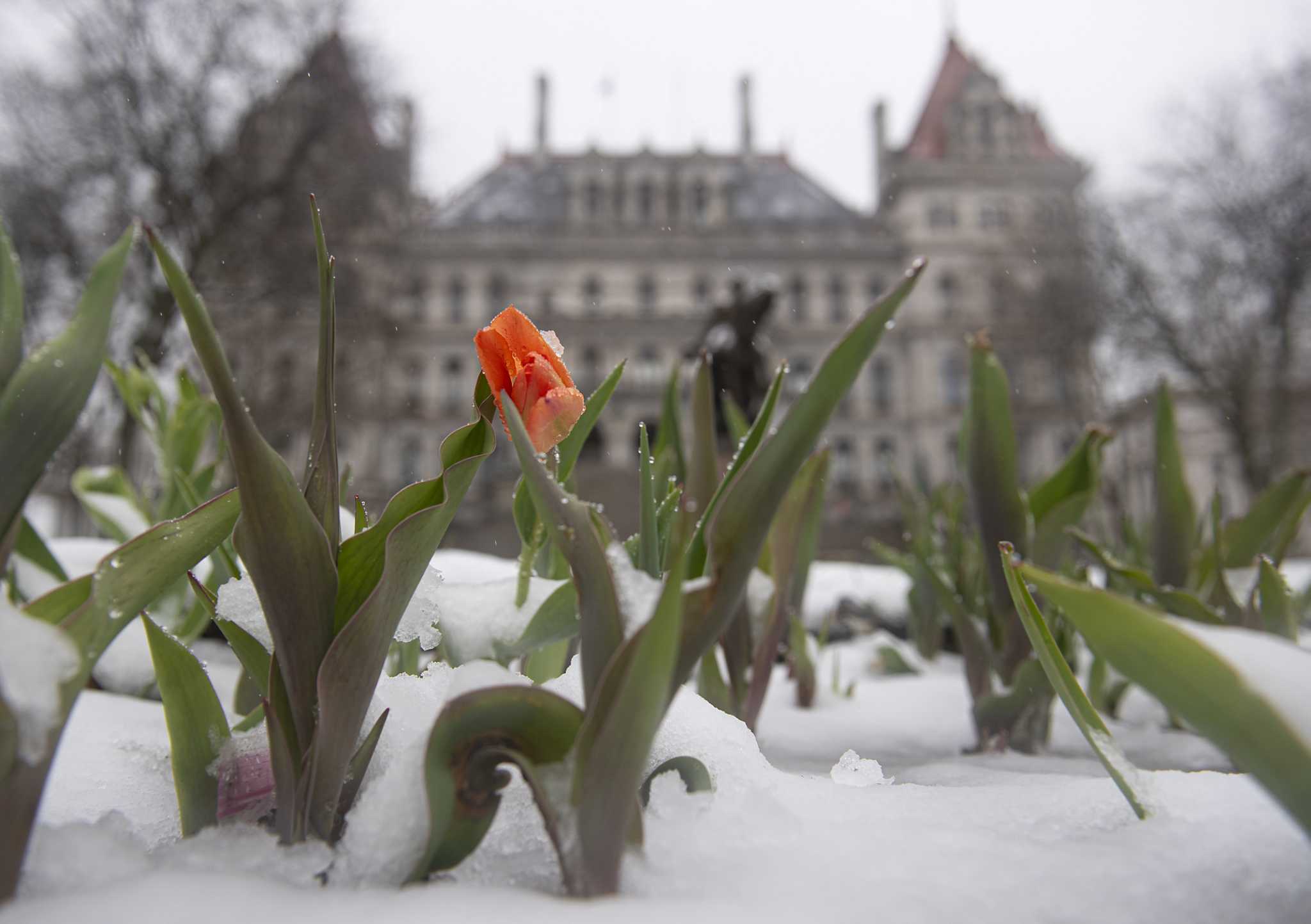 Heavy snow has left thousands without power in New England and New York 