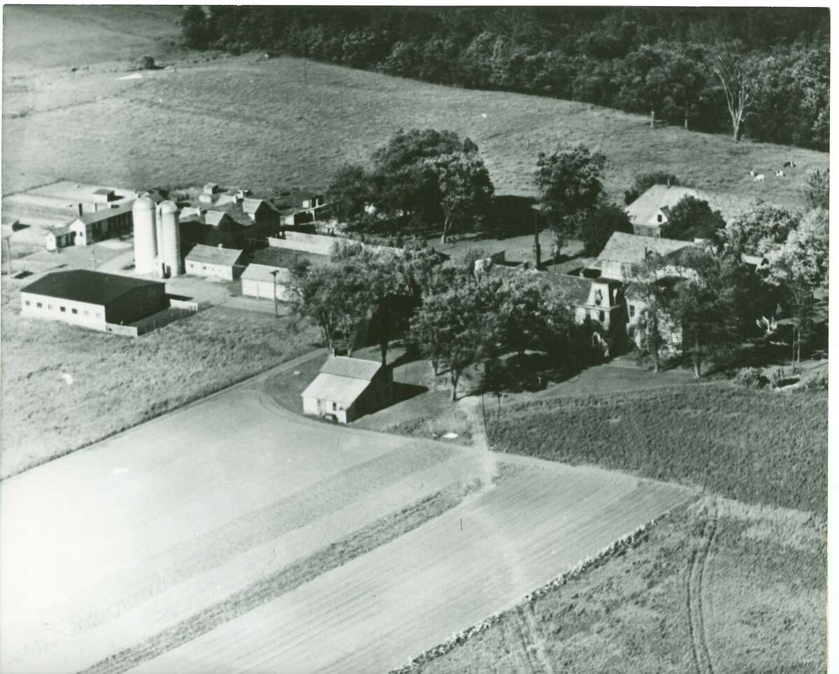 New York's poorhouses Disturbing warehouses for the destitute