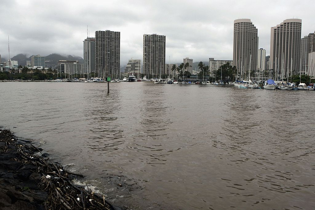 Flesheating bacteria may increase threefold at Hawaii spot