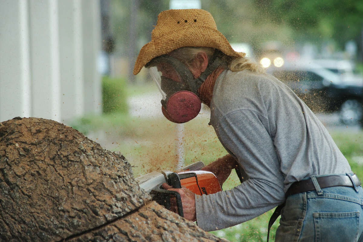 Wood chips fly as James D. Phillips uses a chainsaw on April 11 to begin carving a sculpture of a dog and a reading child.