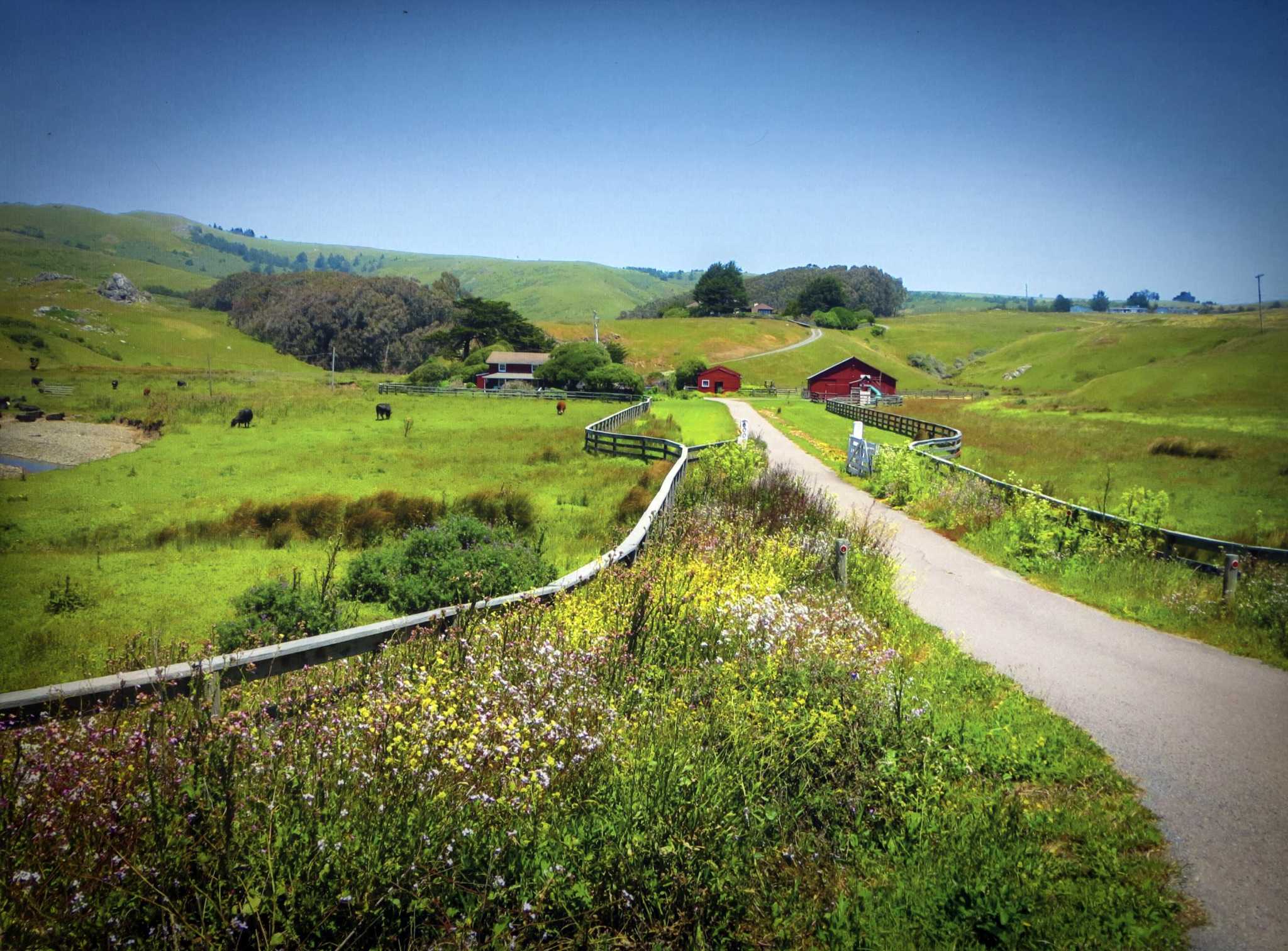 California's radical plan to defend homes from sea level rise: move them - Vimarsana News