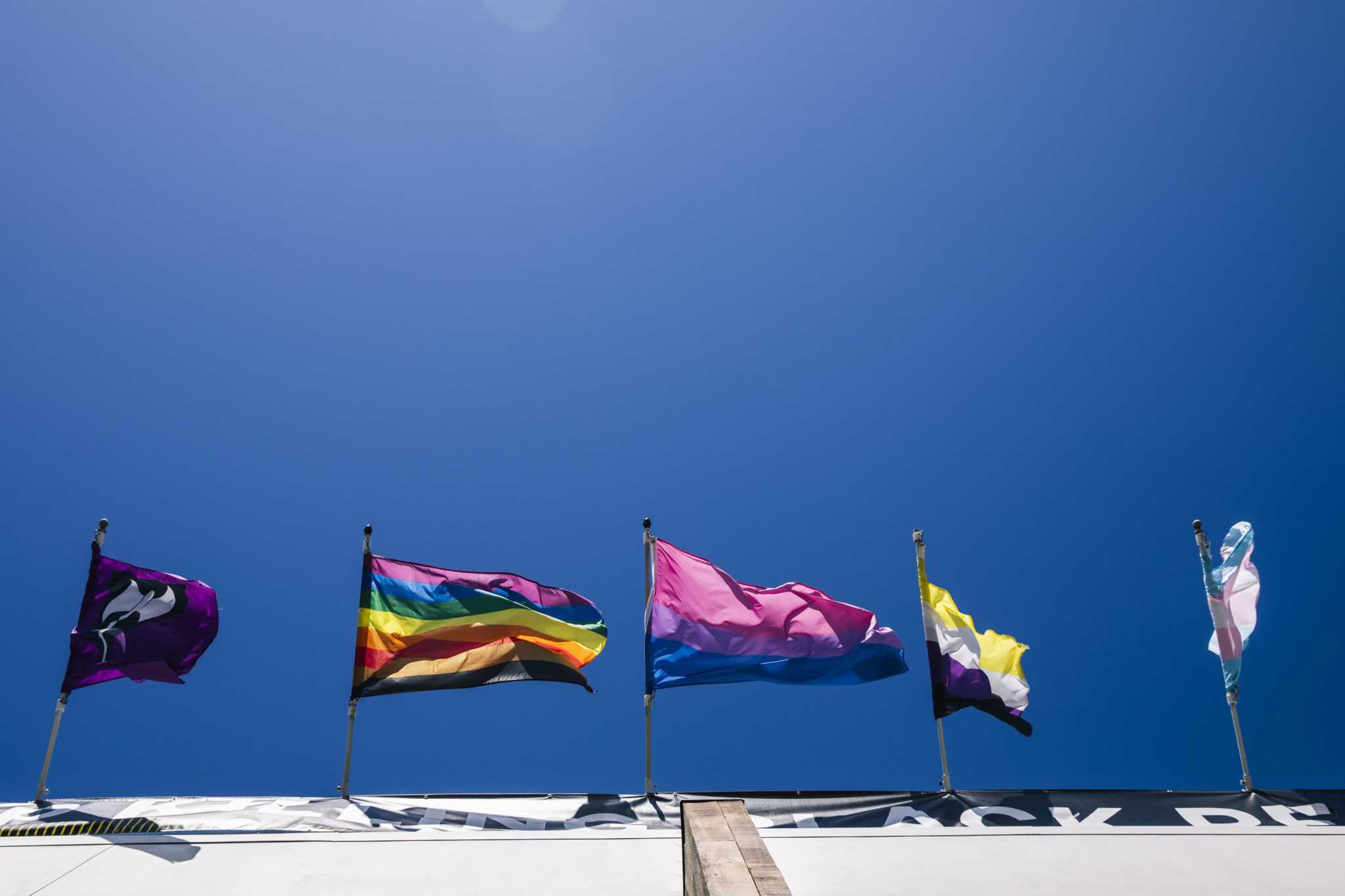 History and culture tour of the Castro - Vimarsana News