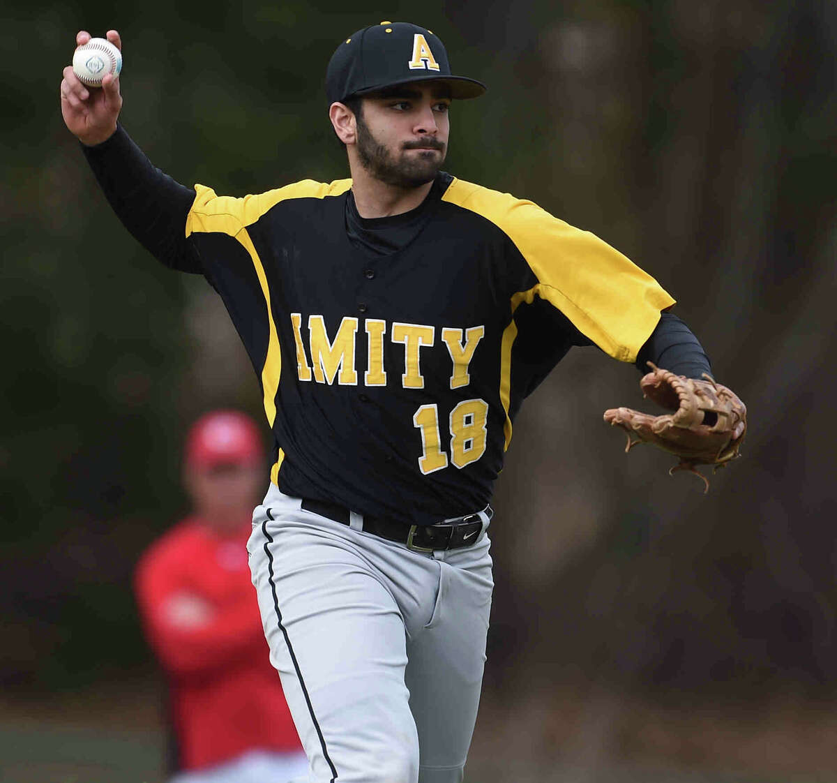 The GameTimeCT / Register Top 10 Baseball Poll: Amity still No. 1 ...