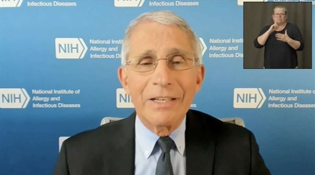 Dr. Anthony Fauci answers questions via broadcast during Connecticut Governor Ned Lamont’s press briefing on coronavirus, Monday, Aug. 3, 2020. (Screenshot)