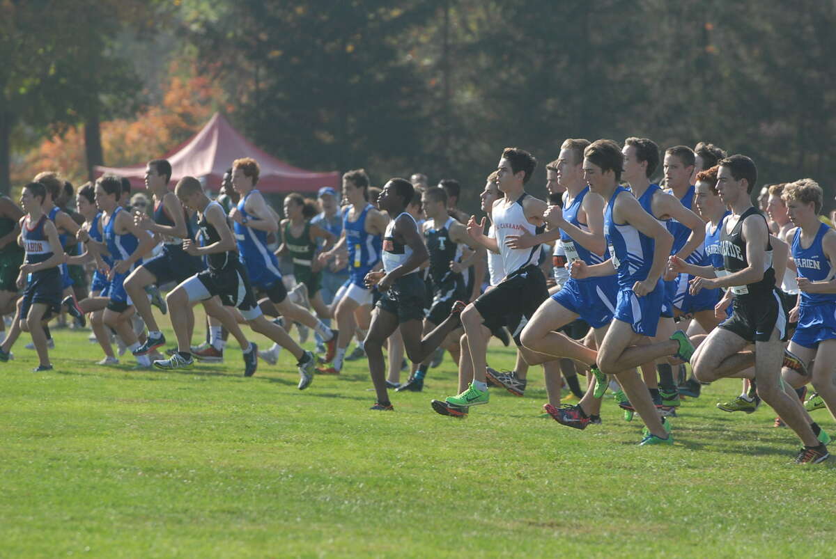 The start of the boys’ FCIAC Cross Country Meet