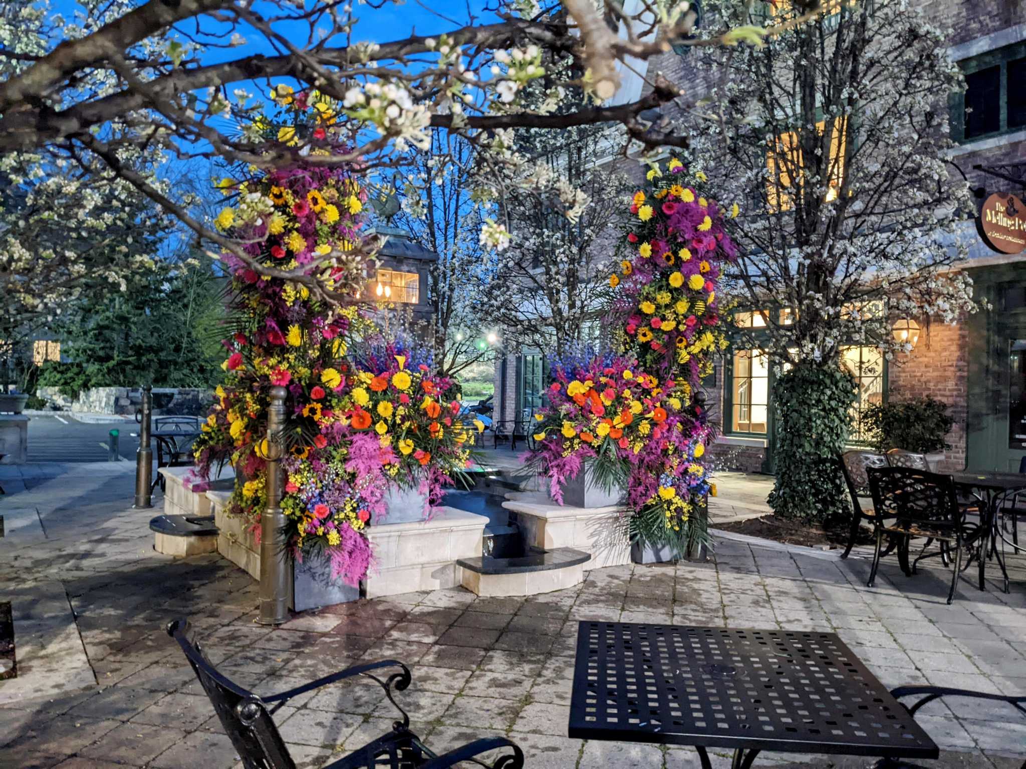 'Flower flare': Pop-up installations take Darien by surprise - Vimarsana News