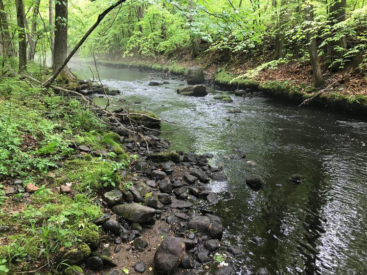 Easton residents question South Park property sale to land trust - Vimarsana News