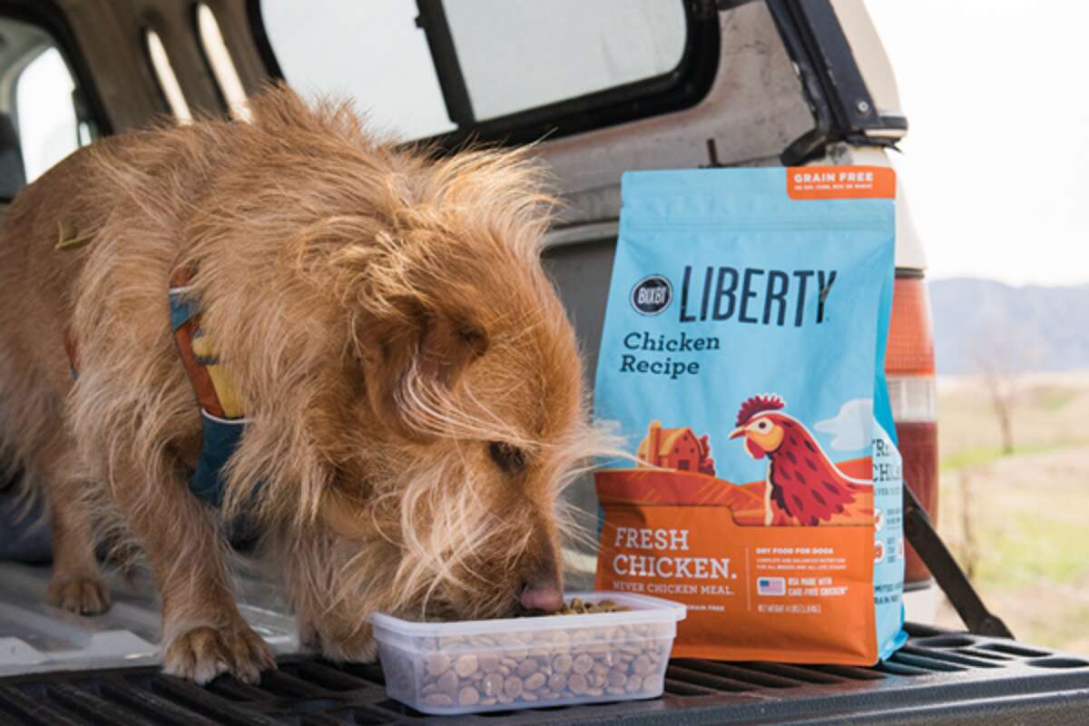Bixbi grain-free dog food is the kibble they'll love to nibble!
