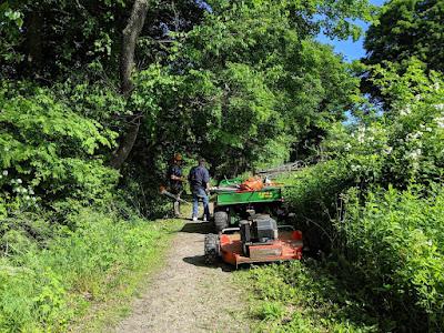 Trail clearing planned for Shelton's Lane Street path - Vimarsana News