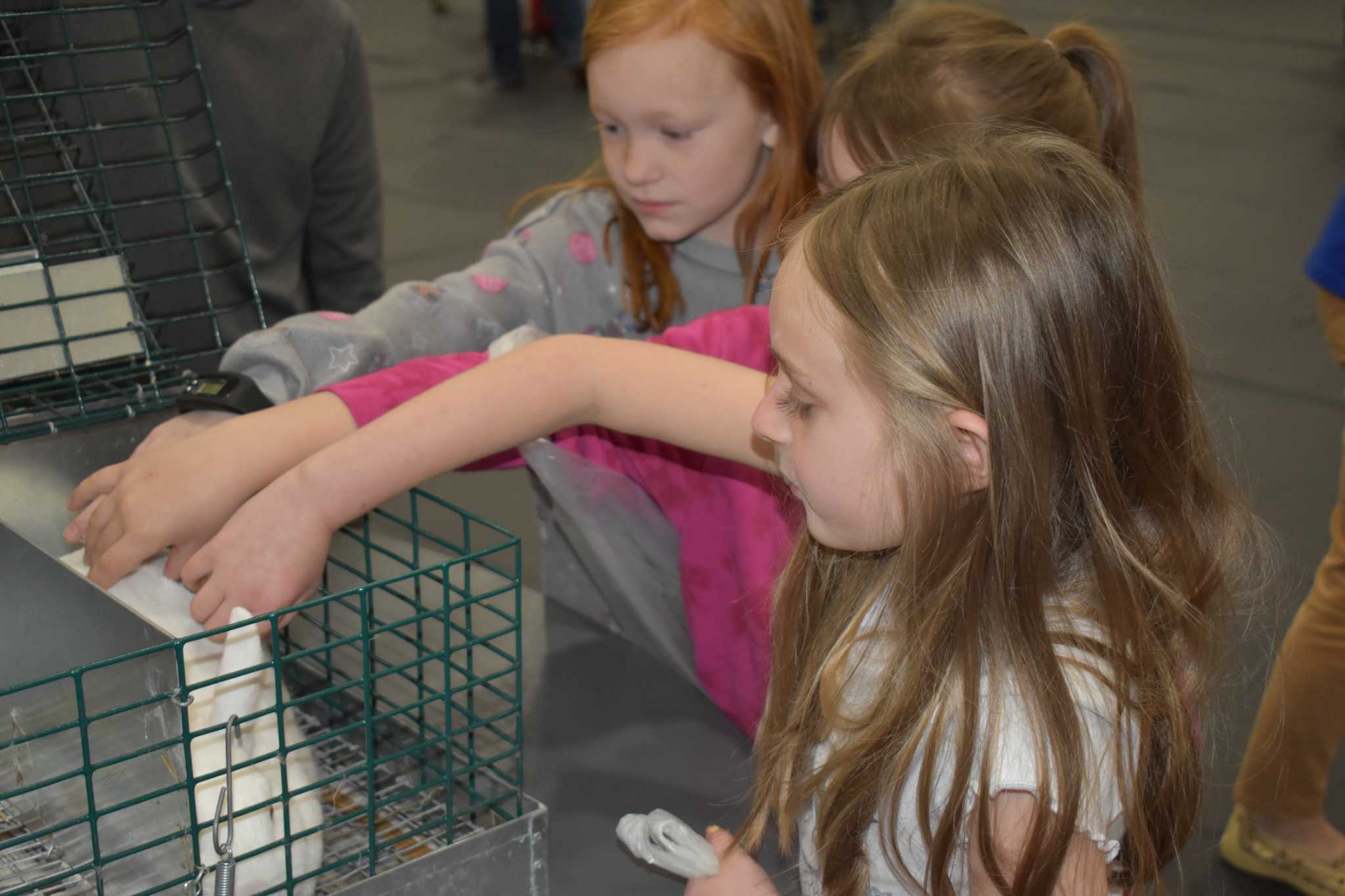 Ag Day plants knowledge amid fun for Virginia students - Vimarsana News