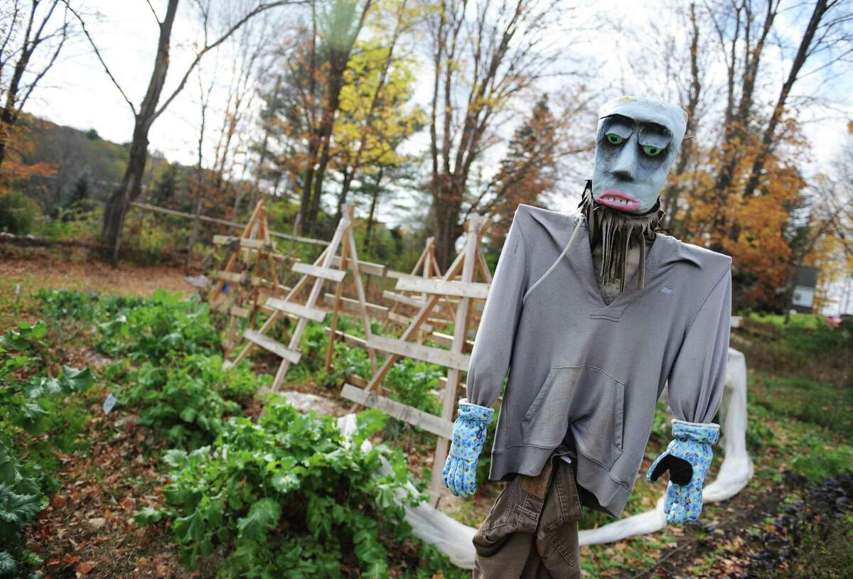 An 8-foot-tall scarecrow watches over the Judea Garden in Washington. Steep Rock Association is hiring summer interns, two of whom will work in the garden this summer.